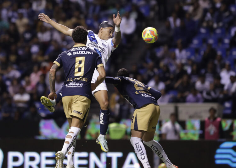 Se nos vino la helada