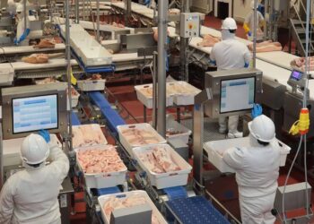 Suma 6 años planta de cárnicos de Carroll