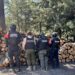 Aseguran hornos clandestinos para deshidratar madera