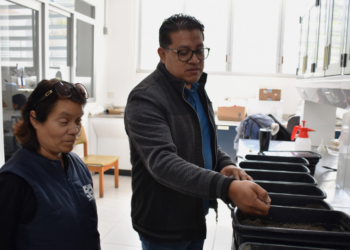 Investigadora del ICUAP estudia la plaga conocida como “gallina ciega”
