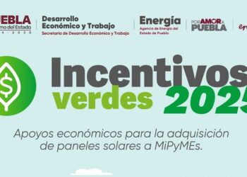 Anuncian programa de Incentivos Verdes 2025
