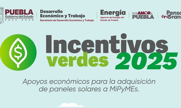 Anuncian programa de Incentivos Verdes 2025