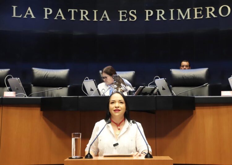 PT propone garantizar educación inicial para reducir desigualdades en la infancia