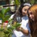 Proyectos de vida silvestre otorgan a Cemex reconocimiento mundial