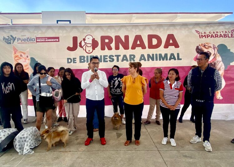 Secretaría de Medio Ambiente realiza jornada animal en San Bernabé Temoxtitla y Los Héroes