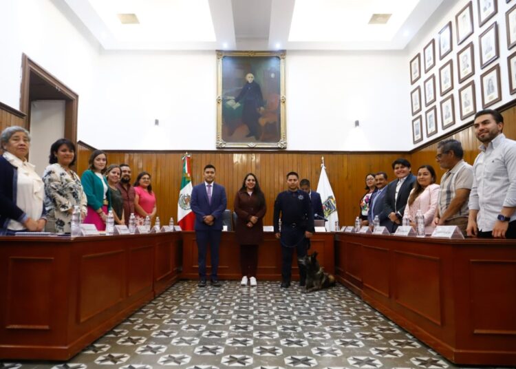 Cabildo aprueba comodato de 2 vehículos al DIF adaptados para personas con discapacitad