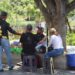 Crean plan de inserción laboral para migrantes en Chiapas