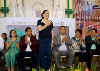 Morena debe cuidar la recepción de perfiles  para no afectar su imagen: Laura Artemisa