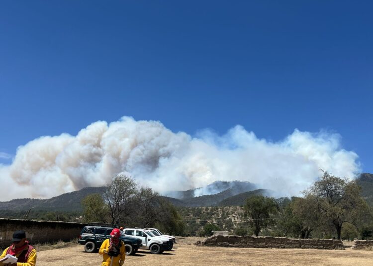 Continúa gobierno estatal combate de incendios forestales