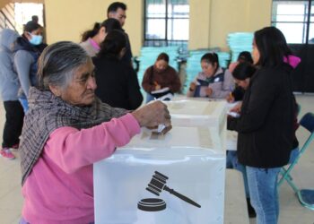 Una concepción de la democracia que esconde una peligrosa vocación autoritaria