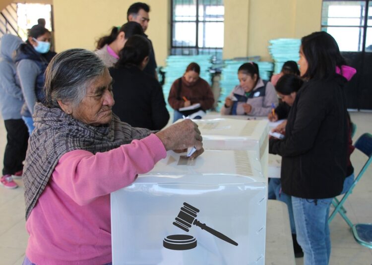 Una concepción de la democracia que esconde una peligrosa vocación autoritaria