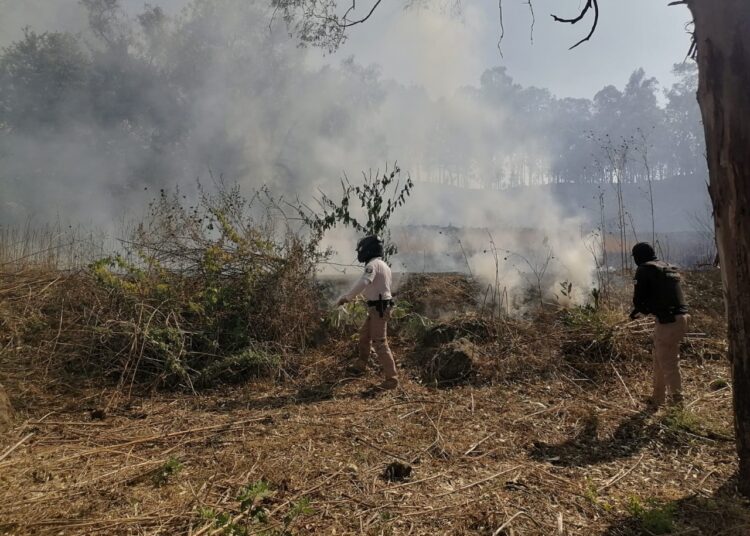 Policía Montada refuerza vigilancia en Cerro Zapotecas y combate de incendios