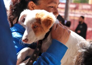 Arranca campaña de vacunación antirrábica en Cuautlancingo