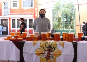 Gobierno de Cuautlancingo pone en marcha el ‘Mercado Itinerante, Inclúyete, Emprendimiento para Todos’