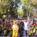 Más de mil participantes en la activación del IMDP por el Día de la Niñez