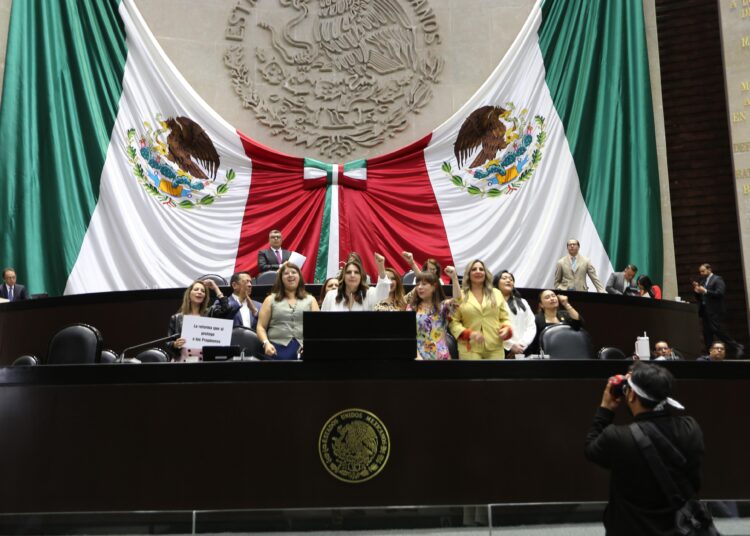 Adiós a la informalidad laboral con la reforma en propinas: Maiella Gómez