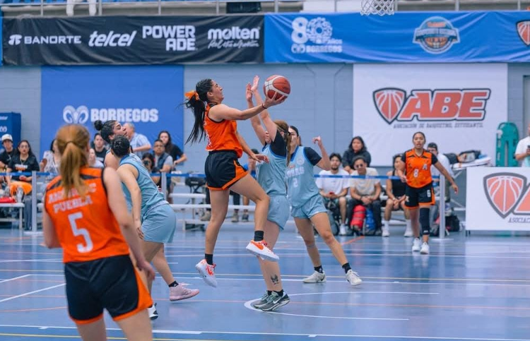 Leonas Anáhuac rugen y avanzan a semifinales del Nacional del ABE División ll