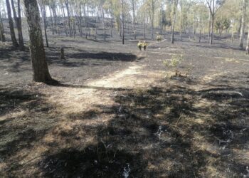 Sofocan más de 20 incendios en el cerro Zapotecas