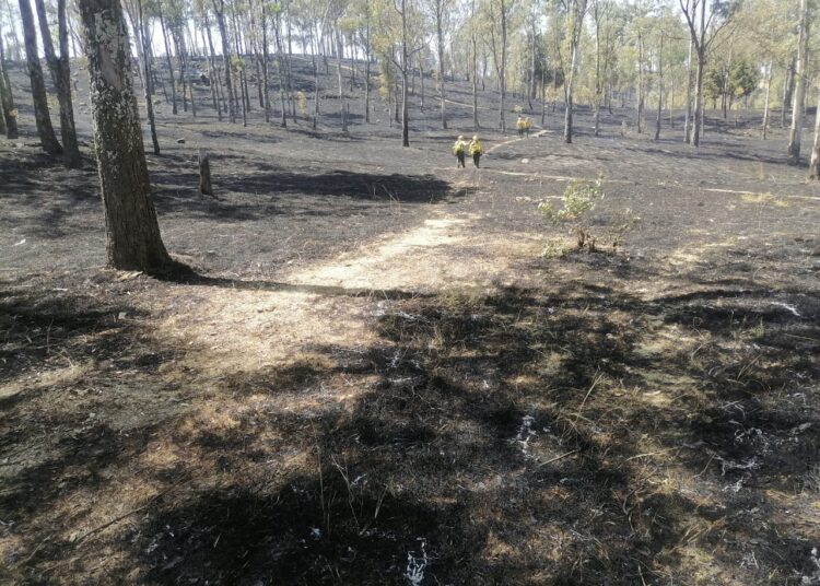 Sofocan más de 20 incendios en el cerro Zapotecas