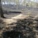 Sofocan más de 20 incendios en el cerro Zapotecas