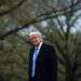 Trump y primer ministro japonés discuten aranceles