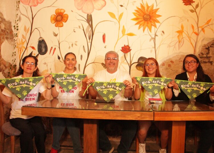 Celebrarán Dog-Nathon para apoyar a perros en situación de calle