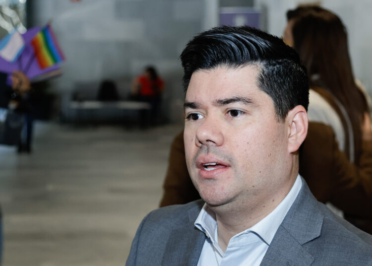 PVEM ira solo a las elecciones intermedias de 2027