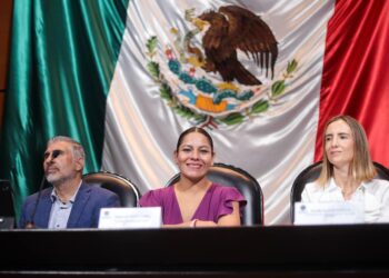 Lupita Cuautle destaca en el Congreso de la Unión