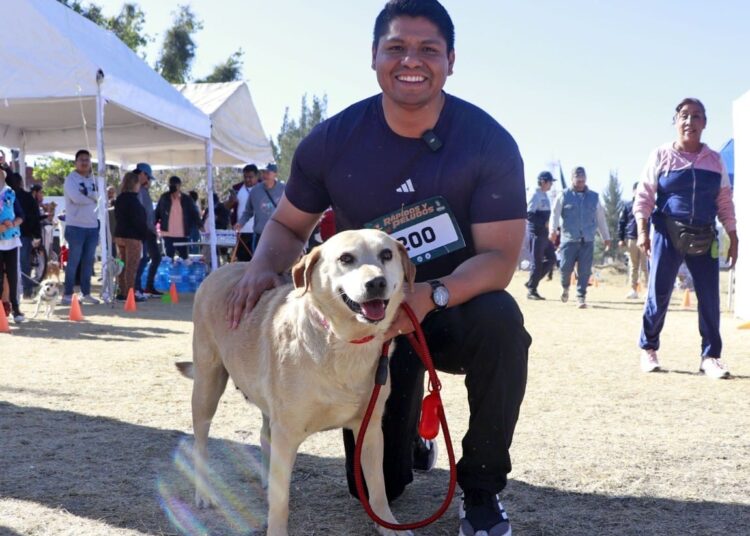 Omar Muñoz anuncia que perrita “Gordita” viajará a Canadá