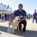 Omar Muñoz anuncia que perrita “Gordita” viajará a Canadá