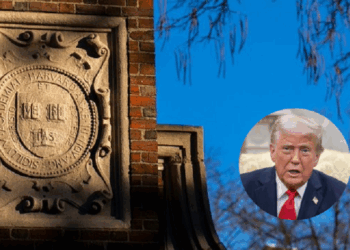 Según Harvard… ¿cuánto valen los principios?