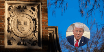 Según Harvard… ¿cuánto valen los principios?