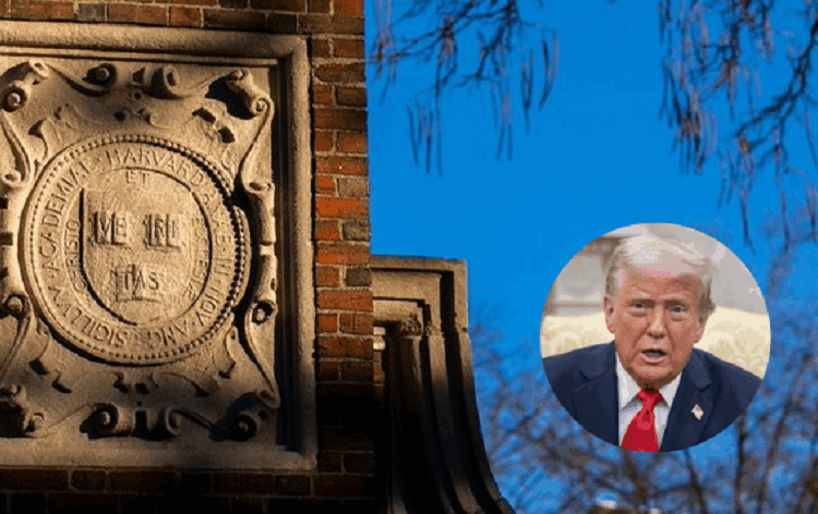 Según Harvard… ¿cuánto valen los principios?