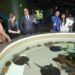 Acuario Michin Puebla se suma a los proyectos de los Voluntariados del Gobierno del Estado