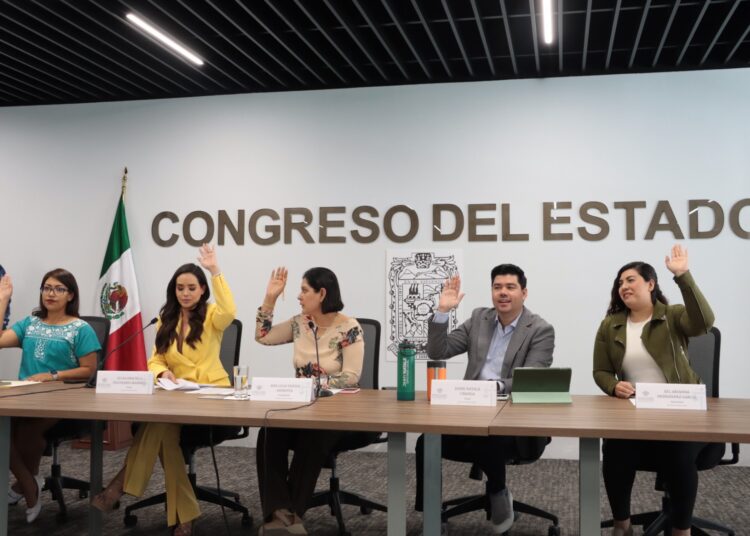 Ante Comisión del Congreso, ASE da a conocer Plan Anual de Auditorías 2025
