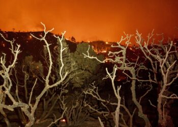 Proveedor eléctrico de Los Ángeles pagará una multa por gran incendio