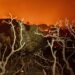 Proveedor eléctrico de Los Ángeles pagará una multa por gran incendio
