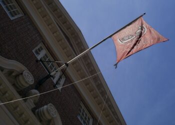 Indignación en Harvard: «El campus vive un momento hostil»