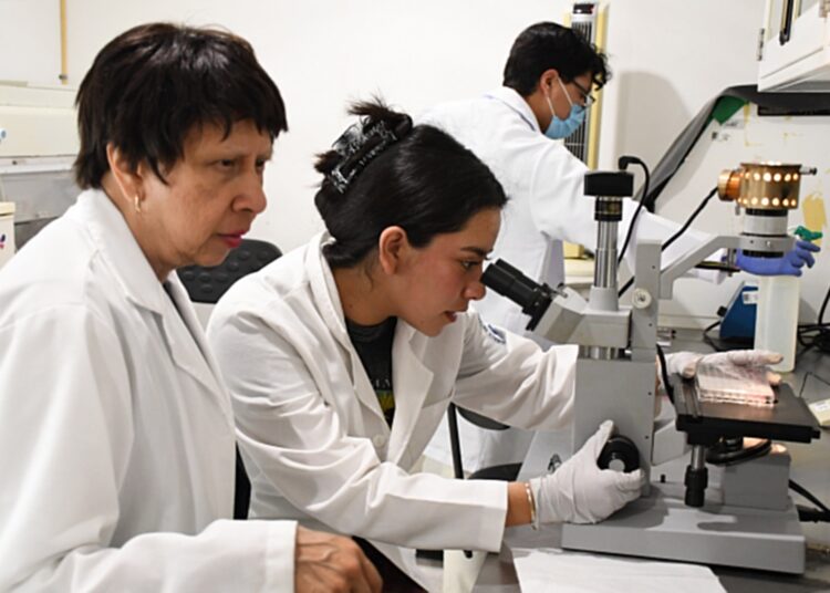 Con modelos computacionales, investigadores BUAP predicen y describen la regeneración epitelial