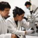 Con modelos computacionales, investigadores BUAP predicen y describen la regeneración epitelial