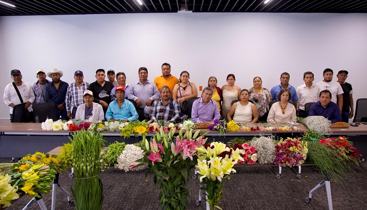 Promueven en Congreso venta de flor originaria de Atlixco