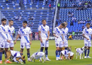 ¡No se vuelvan a equivocar!