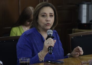 Guadalupe Arrubarrena levanta la mano por la renovación del PAN Municipal
