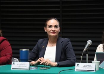 Elección del Poder Judicial Federal solo será una simulación: Liliana Ortiz