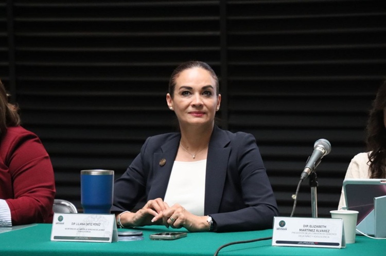 Elección del Poder Judicial Federal solo será una simulación: Liliana Ortiz