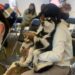 Gobierno de la Ciudad acerca servicios de bienestar animal a familias de Miravalle