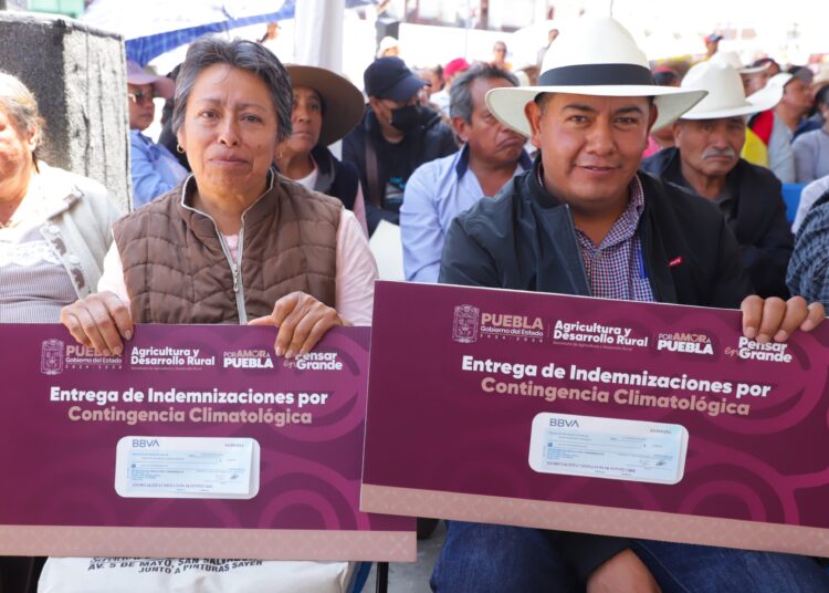 En proceso apertura de 5 ventanillas para apoyo al campo