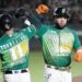 Anuncian cambios en serie Pericos-Bravos de León