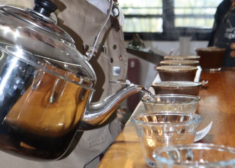 30 cafés pasan a la final de certamen Calidad en Taza