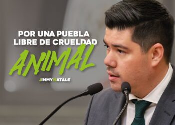 PVEM realizará foros y mesas de análisis para prohibir corridas de toros y peleas de gallos